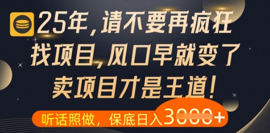 什么？25年你还在疯狂找项目做，醒醒吧，看完这些你全都懂了【揭秘】-朽念云创