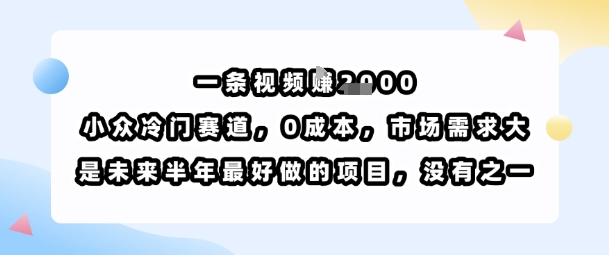 一条视频挣1k，小众冷门赛道，0成本，市场需求大，是未来半年最好做的项目，没有之一-朽念云创