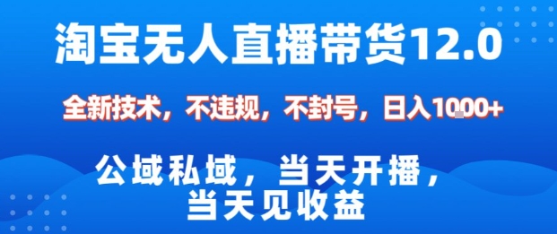 淘宝无人直播12.0，公域私域技术，不封号，不违规布局双十一流量风口，日入1k(独家技术)【揭秘】-朽念云创