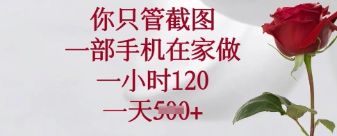 你只管截图，一部手机在家做，一小时120.一天5张【揭秘】-朽念云创