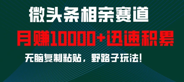 微头条相亲赛道，迅速积累，无脑复制粘贴，野路子玩法，月入1w-朽念云创