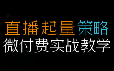 半野老师·直播带货起量与微付费必学课视频号-朽念云创