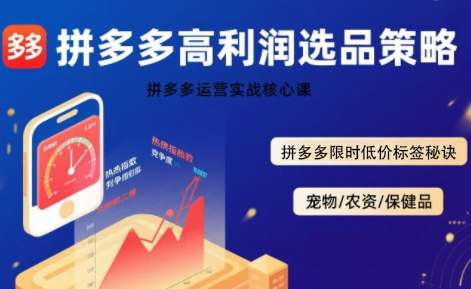 拼多多选品暴利技术实战课，拼多多高利润选品策略，拼多多限时低价标签秘诀-朽念云创