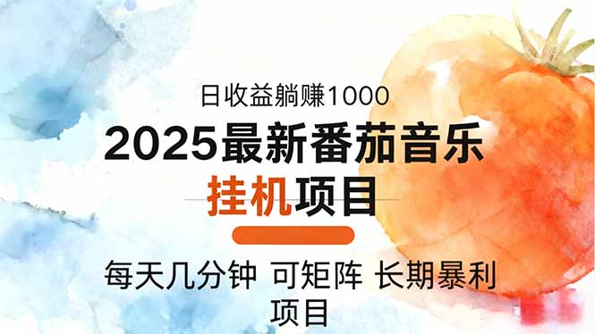 2025年最新番茄音乐人挂机项目，每天几分钟，月入1000＋，可矩阵，一台…-朽念云创