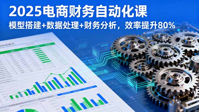 2025电商财务自动化课，模型搭建+数据处理+财务分析，效率提升80%-朽念云创