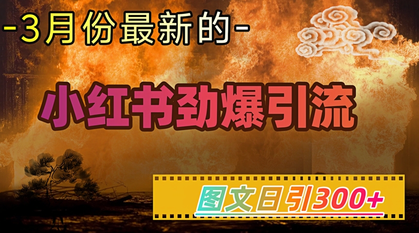 小红书超劲爆引流手段，图文日引300+轻松变现1W-朽念云创