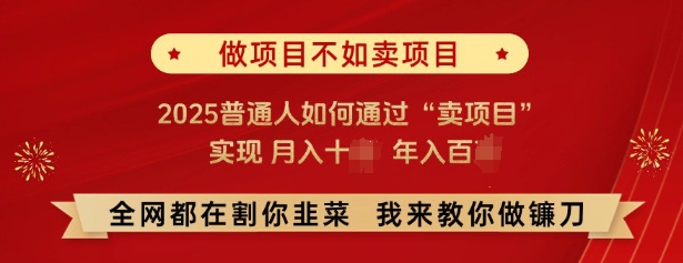 必看，做项目不如卖项目，2025普通人如何通过“卖项目”实现月入十个，年入百个-朽念云创