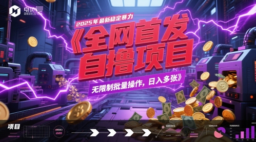 全网首发，2025年最新稳定暴力全自动自撸项目，无限制批量操作，日入多张【揭秘】-朽念云创