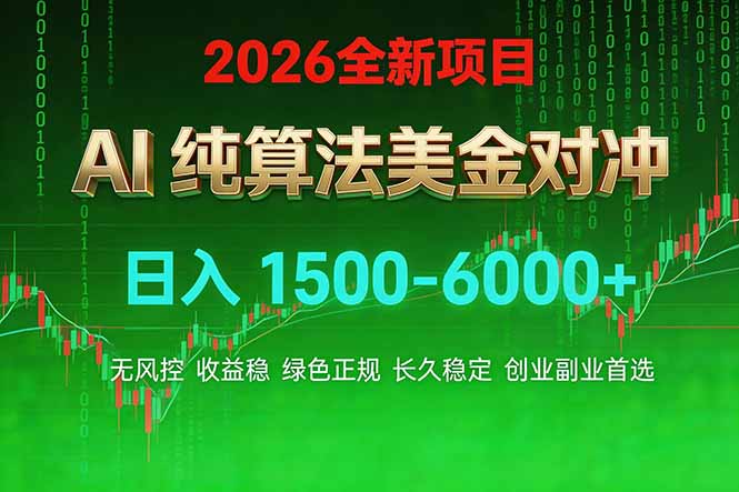 2026 全新美金对冲项目，不套平台赠金，不封号，纯算法对冲，日入 1500-6000+-朽念云创