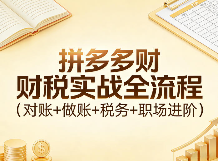 拼多多财税实战全流程(对账+做账+税务+职场进阶)-朽念云创