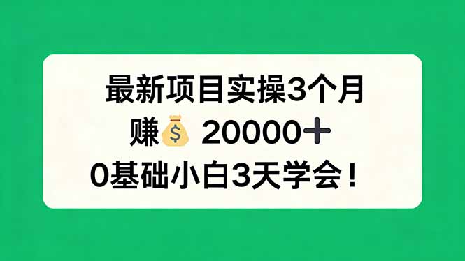 最新项目实操3个月，赚钱20000+，0基础小白3天学会！-朽念云创
