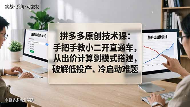 拼多多原创技术课：手把手教小二开直通车，从出价计算到模式搭建，破解低投产、冷启动难题-朽念云创