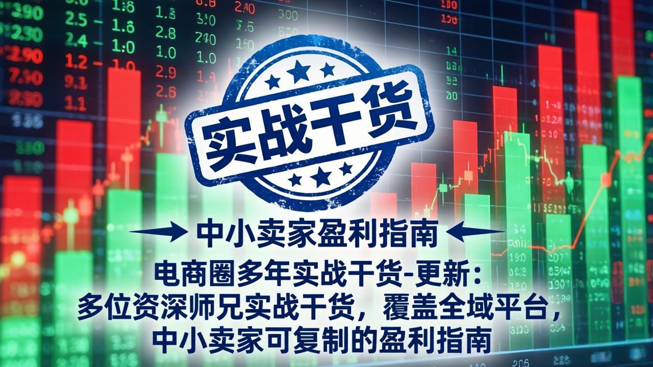 电商圈多年实战干货-更新5月10：多位资深师兄实战干货/覆盖全域平台，中小卖家可复制的盈利指南-朽念云创