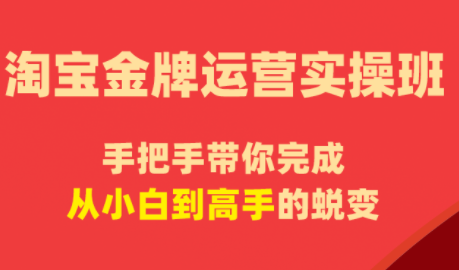 飓风电商·淘宝金牌运营实操班-朽念云创