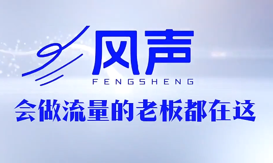 董十一·风声短视频AI获客年度会员-朽念云创