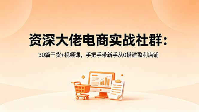 资深大佬电商实战社群：30篇干货+视频课，手把手带新手从0搭建盈利店铺-朽念云创