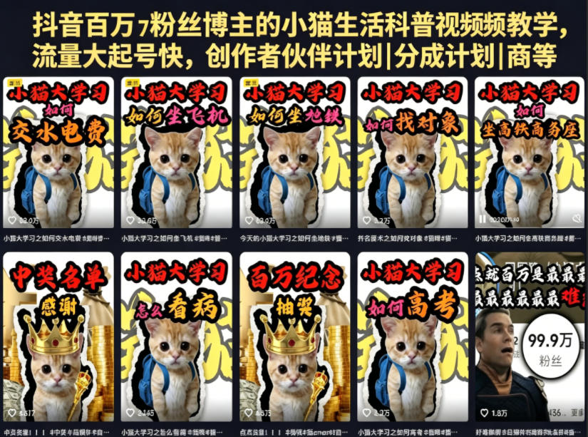抖音百万粉丝博主的小猫生活科普视频教学，流量大起号快，创作者伙伴计划|分成计划|商单|收徒等-朽念云创