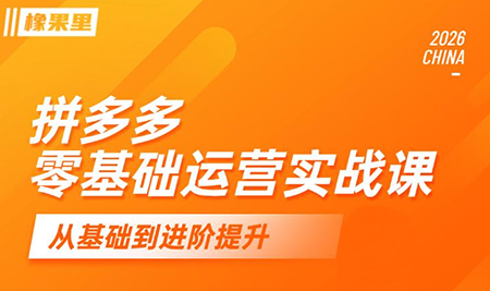 仙道电商·拼多多零基础运营实战课-朽念云创