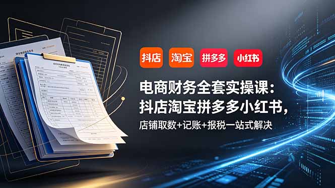 电商财务全套实操课：抖店淘宝拼多多小红书，店铺取数+记账+报税一站式解决-朽念云创