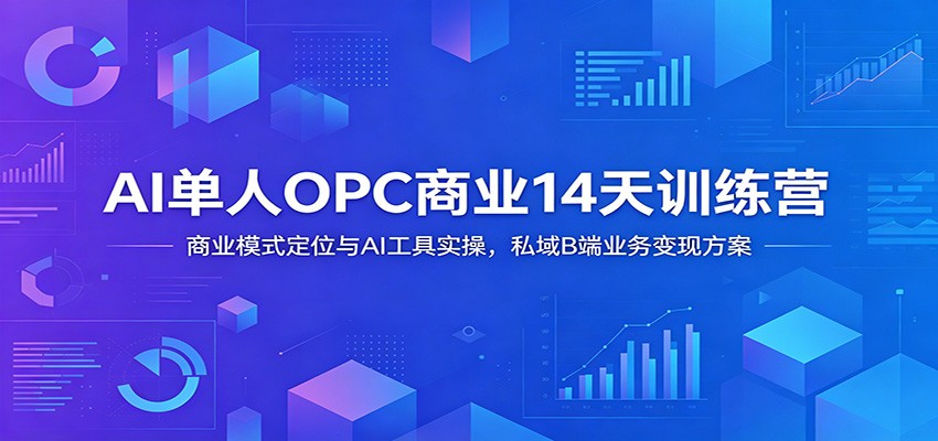 AI单人OPC商业14天训练营:商业模式定位与AI工具实操,私域B端业务变现方案-朽念云创