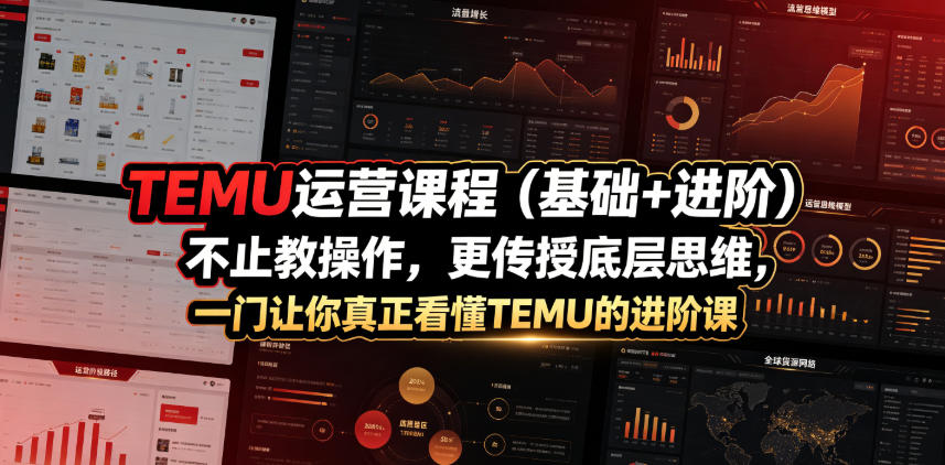 TEMU运营课程(基础+进阶)，不止教操作，更传授底层思维，一门让你真正看懂TEMU的进阶课-朽念云创