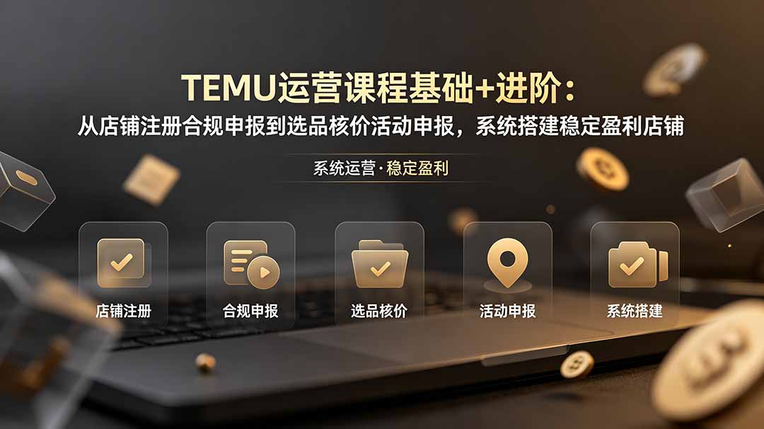 TEMU运营课程(基础+进阶-朽念云创