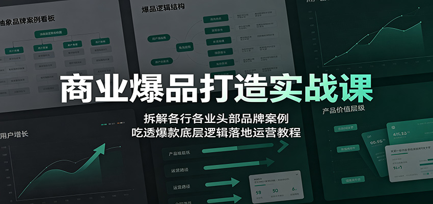 商业爆品打造实战课：拆解各行各业头部品牌案例，吃透爆款底层逻辑落地运营教程-朽念云创