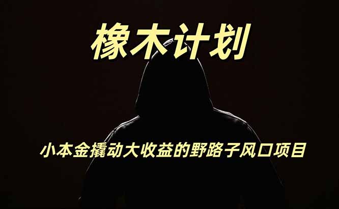 橡木计划，小投入撬动高回报的风口野路子项目，一天投入2小时左右-朽念云创