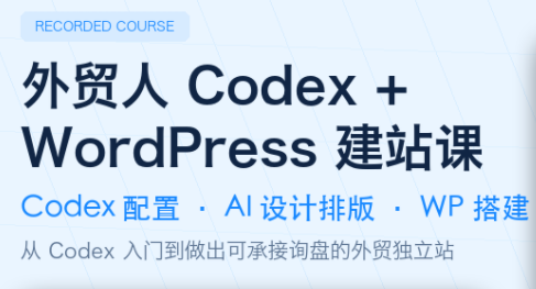 大卫·外贸人Codex + WordPress建站课(更新8月)-朽念云创