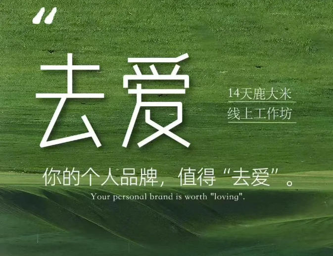 去爱14天鹿大米线上工作坊，你的个人品牌，值得“去爱”-朽念云创