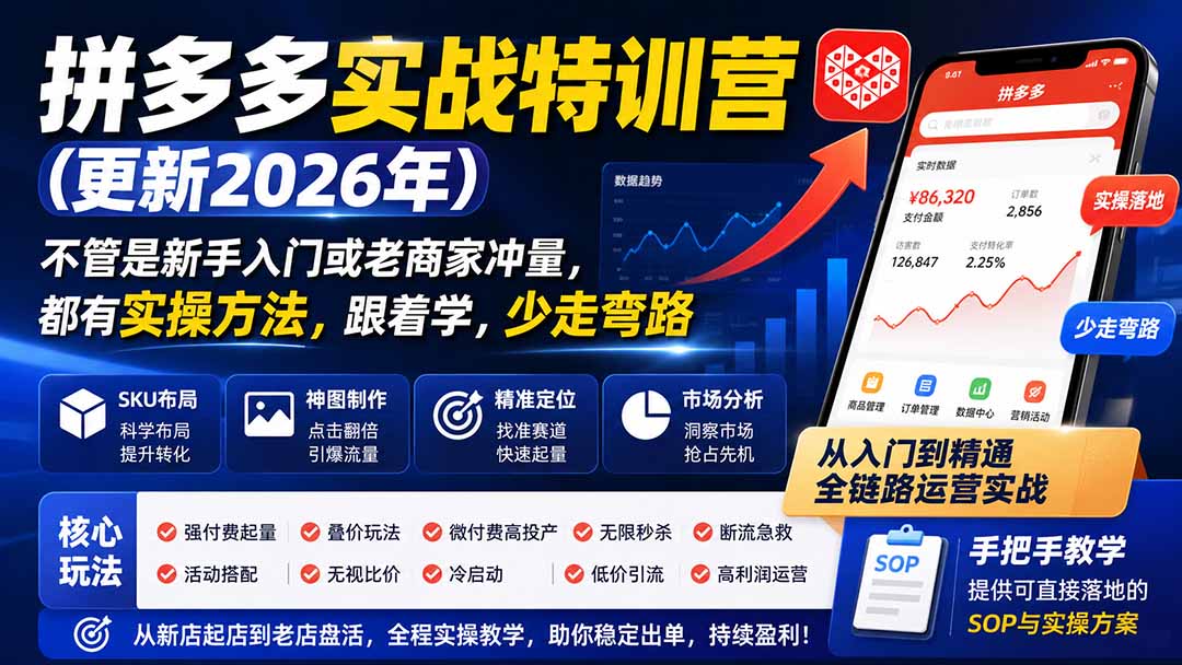 拼多多实战特训营(更新26年9月-朽念云创