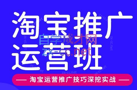 美迪电商·淘宝高级运营班+推广运营班(更新9月)-朽念云创