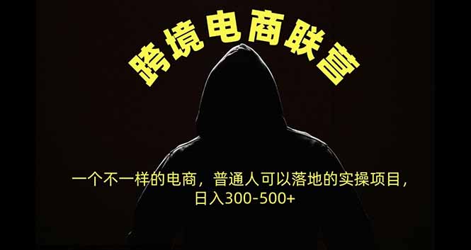 跨境电商联营,一个不一样的电商,普通人可操作日入300-500+-朽念云创