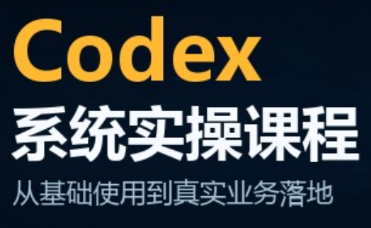 codex系统实操课程(更新10月)-朽念云创