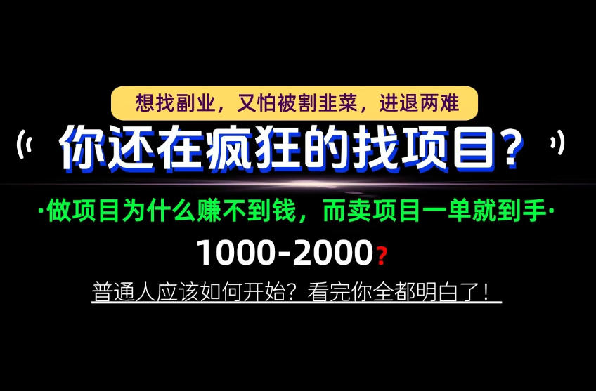 你还在疯狂的找项目？别傻了！卖项目才是真正的一本万利！怎么做，看完你全都明白！【揭秘】-朽念云创