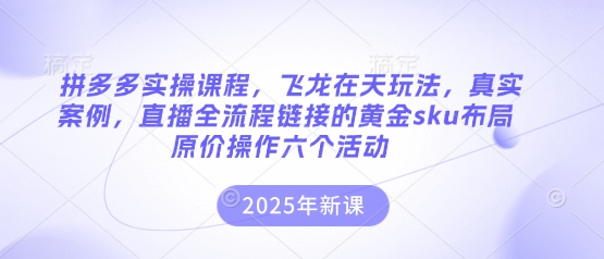 拼多多实操课程，飞龙在天玩法，真实案例，直播全流程链接的黄金sku布局原价操作六个活动-朽念云创