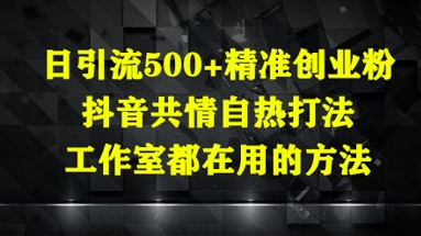 日引流500+精准创业粉，抖音共情自热打法，工作室都在用的方法-朽念云创