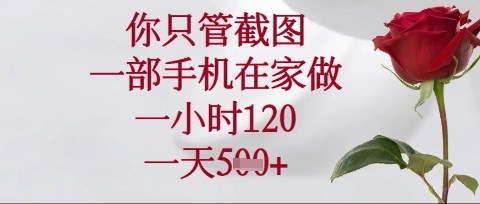 你只管截图，一部手机在家操作，一小时120.一天5张【揭秘】-朽念云创