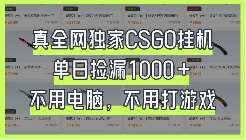 真全网独家CSGO挂机，单日捡漏1000+，不用电脑，不用养号-朽念云创