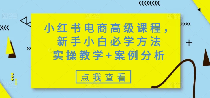 小红书电商高级课程，新手小白必学方法，实操教学+案例分析-朽念云创