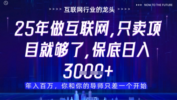 什么！25年你还在找项目做？风口早就变了，卖项目才是稳挣不赔【揭秘】-朽念云创