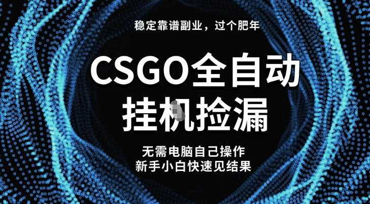 【稳定副业】全球最热门游戏CSGO全自动捡漏，最新玩法，新手小白日入5张+【揭秘】-朽念云创