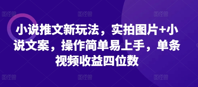 小说推文新玩法，实拍图片+小说文案，操作简单易上手，单条视频收益四位数-朽念云创