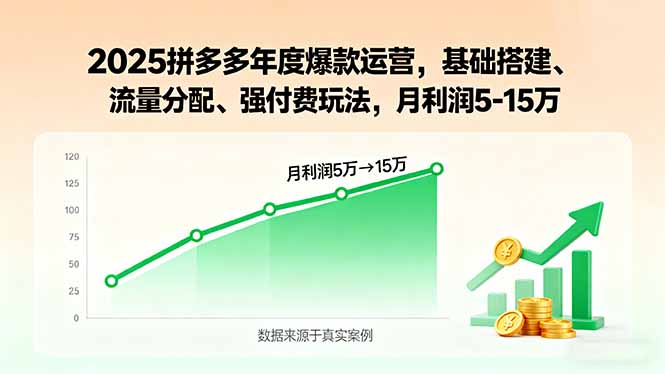 2025拼多多年度爆款运营，基础搭建、流量分配、强付费玩法，月利润5-15万-朽念云创