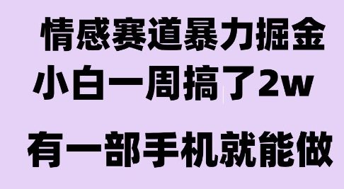 情感暴力掘金项目，新人操作一周挣了2W，长期稳定小白可做【揭秘】-朽念云创
