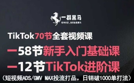 TikTok全套视频课，新手入门+进阶课，短视频ADS-GMV MAX投流打品，日销破1000单打法-朽念云创