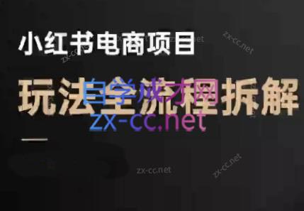 菲菲老师·小红书电商玩法(更新7月)-朽念云创