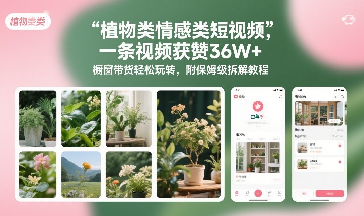 植物类情感类短视频，一条视频获赞36W+，橱窗带货轻松玩转，附保姆级拆解教程-朽念云创