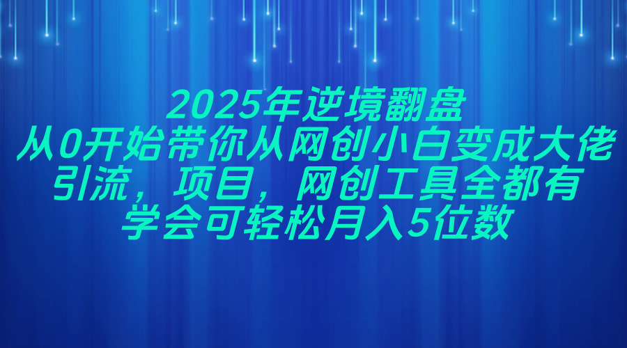 2025年逆境翻盘，从0开始带你从网创小白变成大佬，引流，项目，网创工...-朽念云创