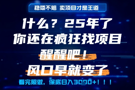 什么？25年你还在疯狂找项目做，醒醒吧，看完这些你全都懂了！【揭秘】-朽念云创